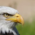 Futura Emporium